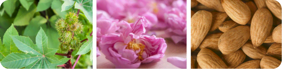 Description of the image