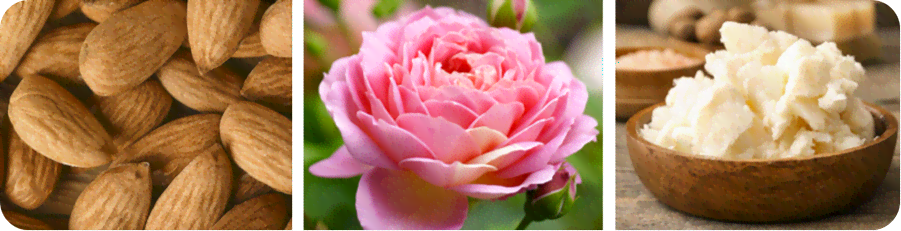 Description of the image